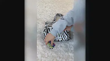 Zebra Stripe Shoulder Bag