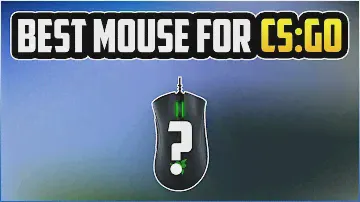 The Best Mouse for CS:GO in 2023 | Best Budget gaming Mouse for CSGO