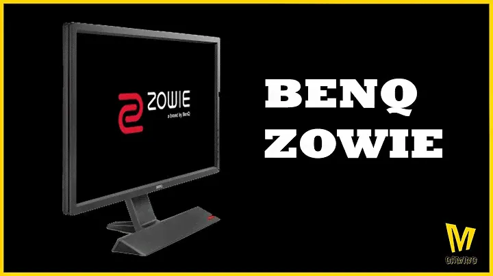 Benq Zowie RL2455 1ms