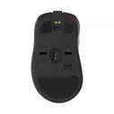 Zowie by BenQ EC2-CW
