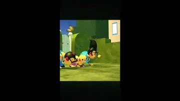 Rollie Pollie Ollie....--‐--_ Ollie and Zowie like puppies./ Ollie and Zowie puppy acting song.