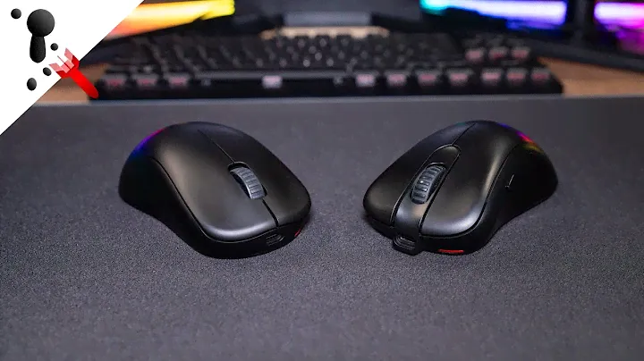 BenQ Zowie U2 and EC2-CW Review (Zowie Wireless)